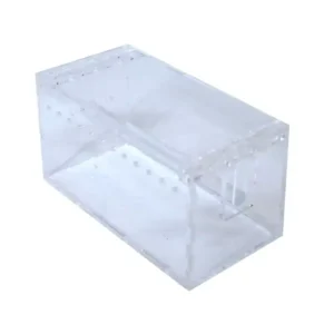 Exhibidor para liga en cadena